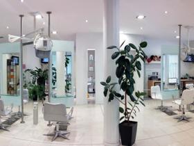 Michele Gogna Hair Stylist