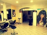 Ivo The Haircompany