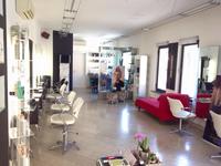 Arte Studio Hair