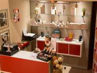 Estetica Lineamica