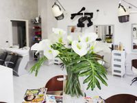 Alex Hair Stylist
