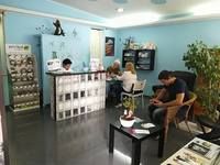 FISIOMASSAGENS WELLNESS AND BEAUTY