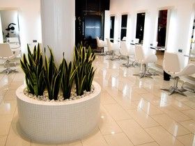 Rastal Peluqueros