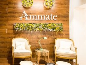 Ammate