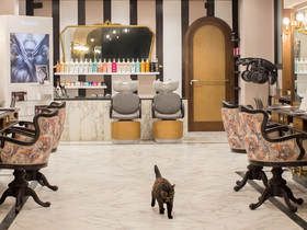 Renoir Parrucchieri Class Hair Salon