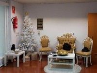 Lourdes Aragón Medicina & Belleza
