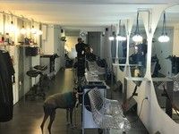 Salon 223