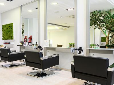 Sayda Roca Hair Concept